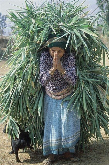 ���������� ��������