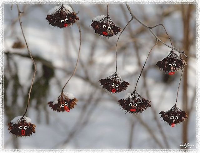 ���������� ��������