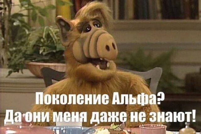 ������� ����