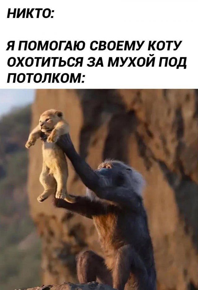 ������� ����