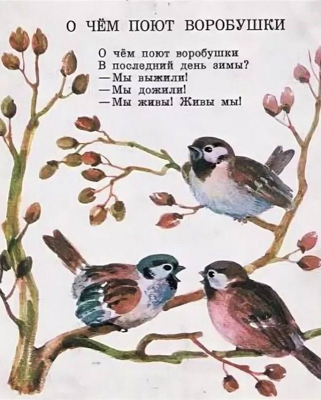 ������� ����