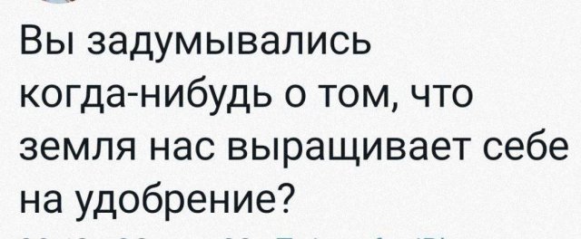 ������� ����