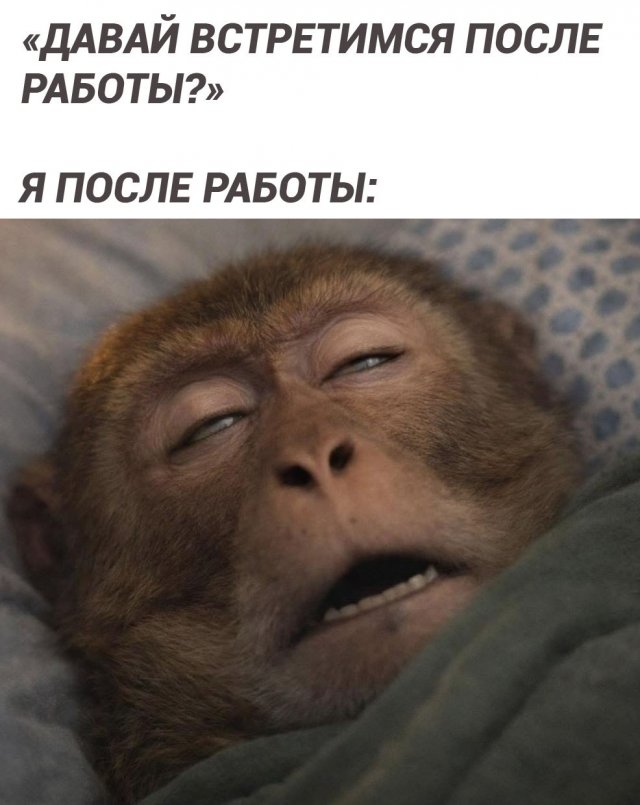 ������� ��������