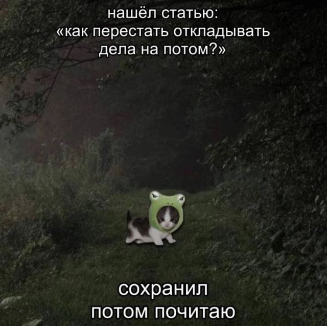 ������� ��������