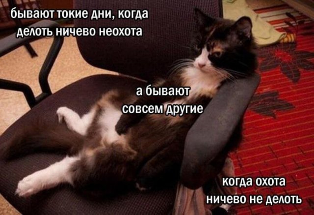 ������� ��������