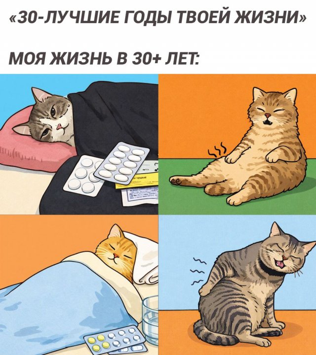 ������� ��������