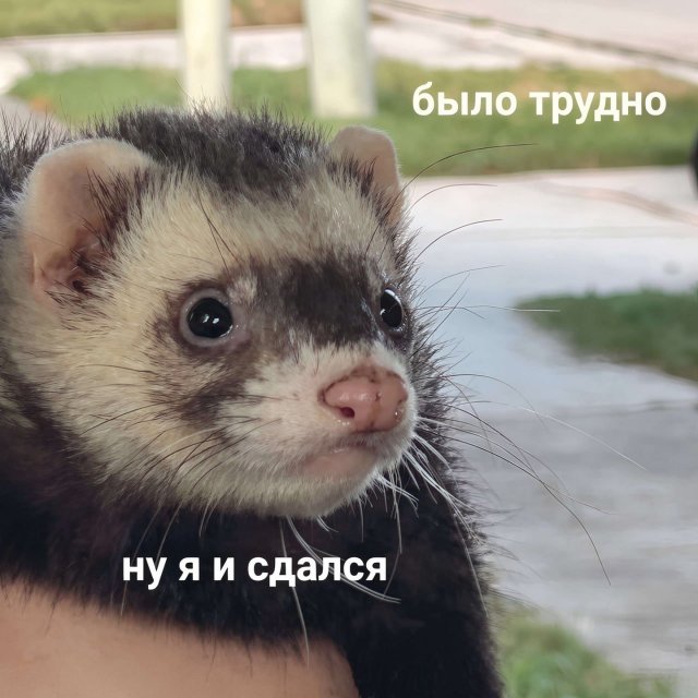 ������ ����� � ���� �� ���������, ������� �������� ����������