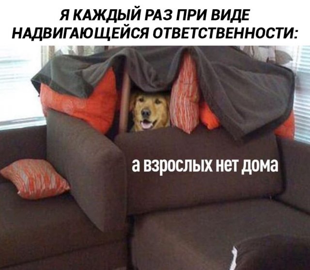 ������ ����� � ���� �� ���������, ������� �������� ����������