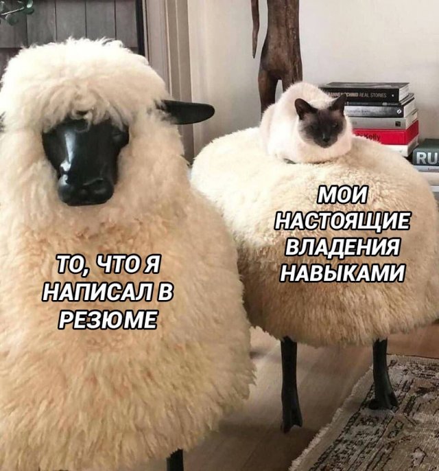 ������ ����� � ���� �� ���������, ������� �������� ����������