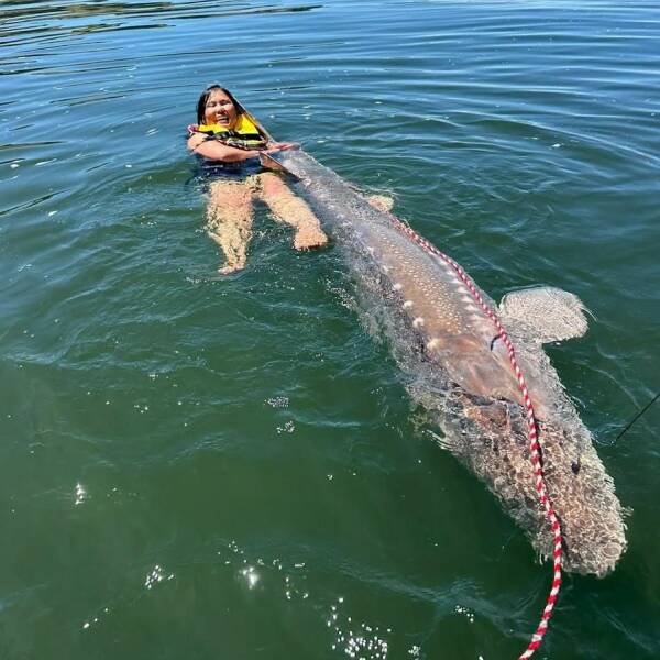 ���������� ��������