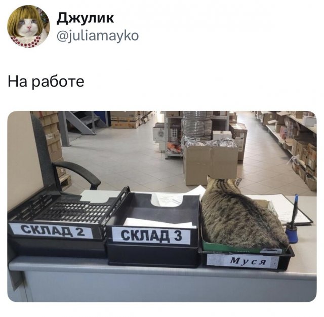 ������ ����� � ���� �� ���������, ������� �������� ����������