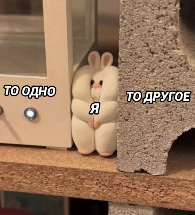 ������ ����� � ���� �� ���������, ������� �������� ����������