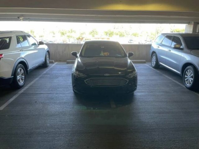 ���������� ��������