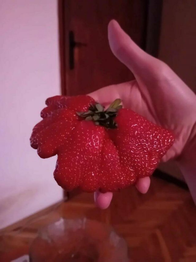 ���������� ��������