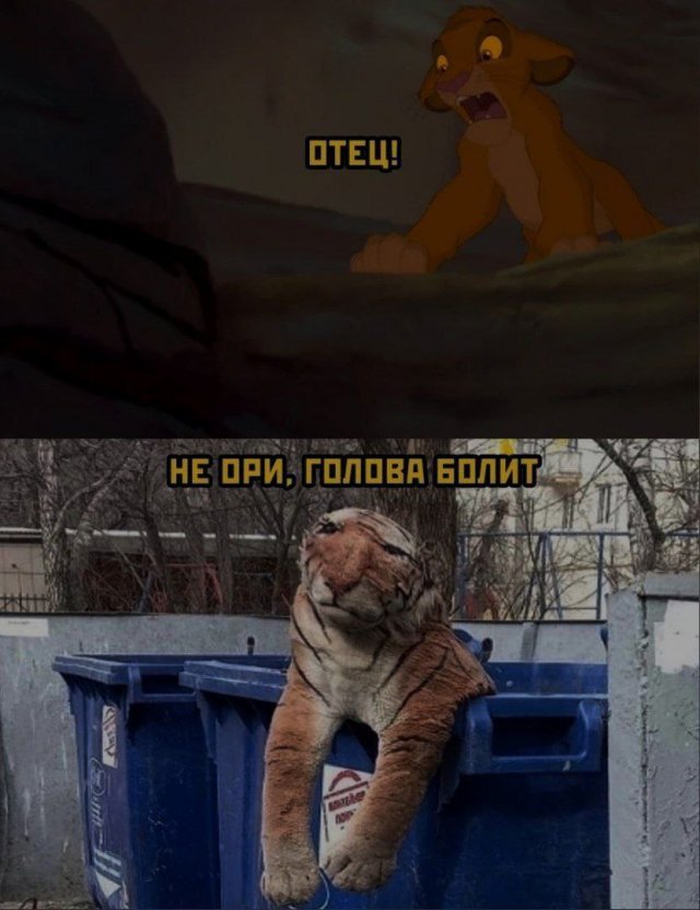 ������ ���� � ����� �� ���� 