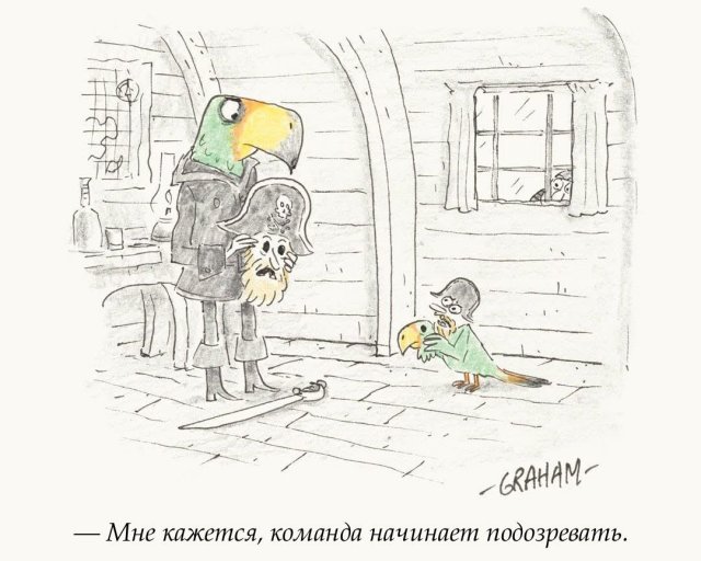 ������ ���� � ����� �� ���� 