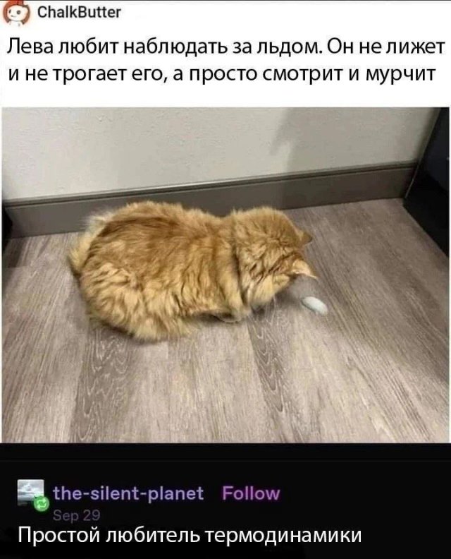 ������ ���� � ����� �� ���� 