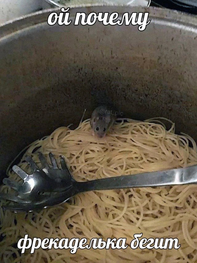 ������ ����� � ���� �� ����