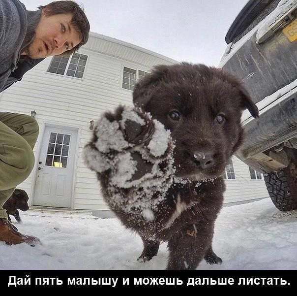 ������ ����� � ���� �� ����