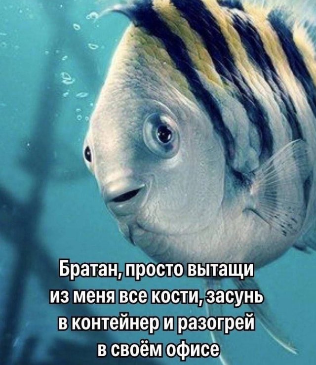 ������ ����� � ���� �� ����