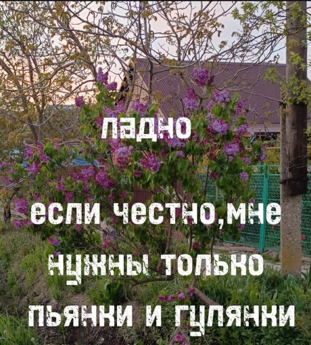 ������ ����� � ���� �� ����