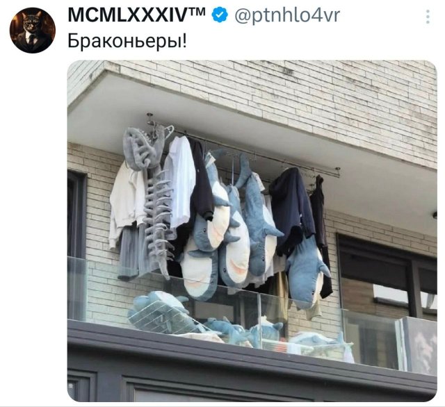 ������ ����� � ���� �� ����