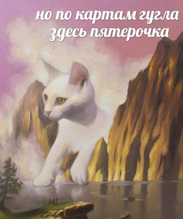 ������ ����� � ���� �� ����