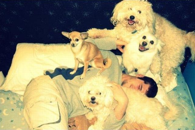 ���������� ��������