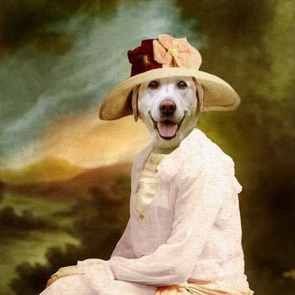 ���������� ��������