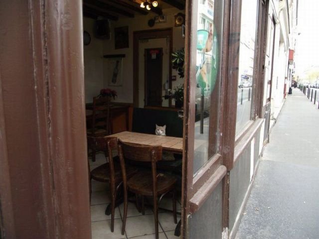 ���������� ��������