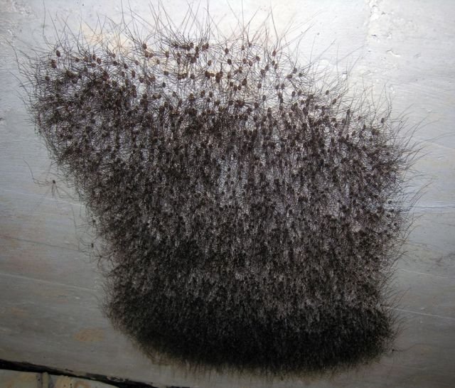 ���������� ��������