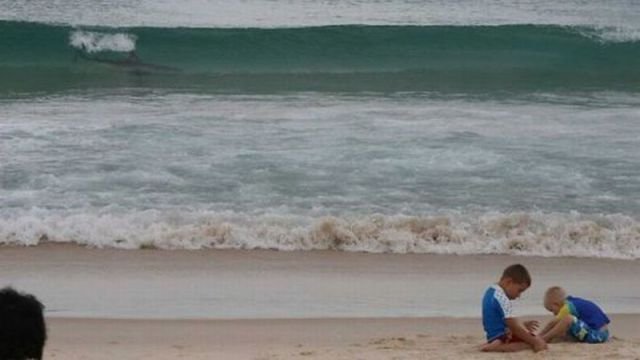 ���������� ��������