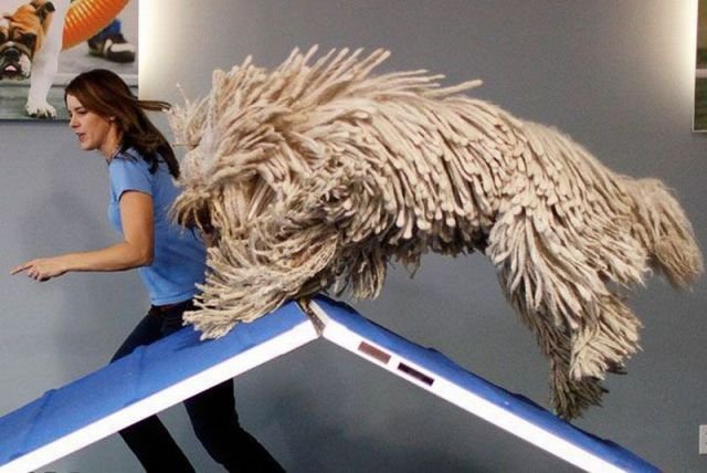 ���������� ��������