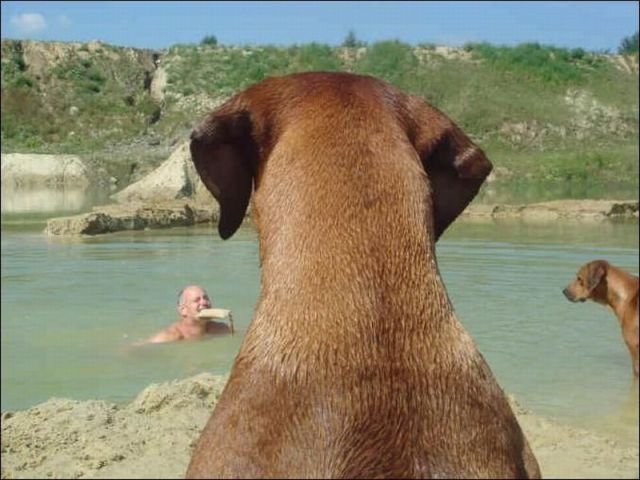 ���������� ��������