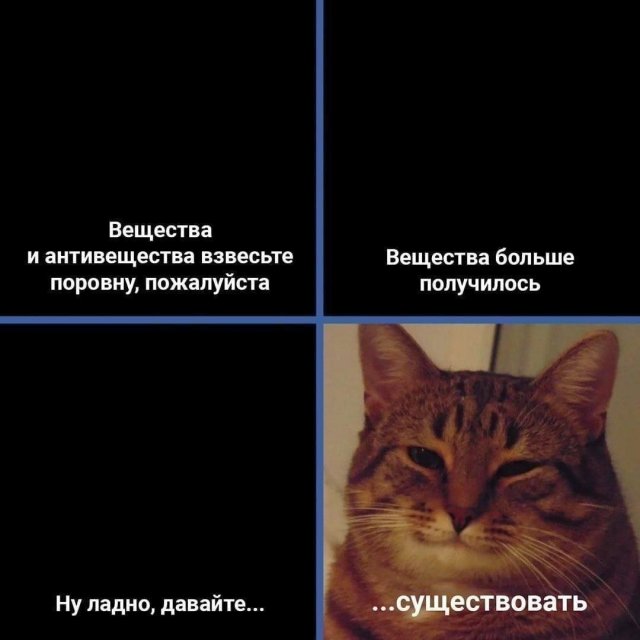 ������ ���� �� ����