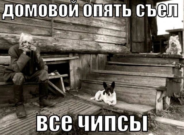 ������ ���� �� ����