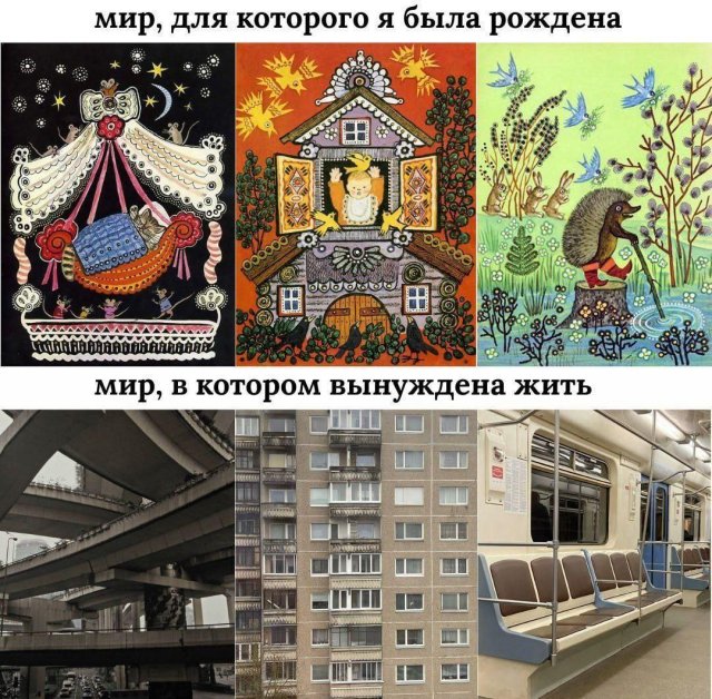 ������ ���� �� ����