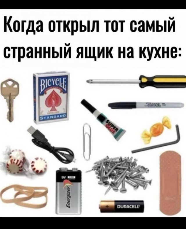 ������ ���� �� ����