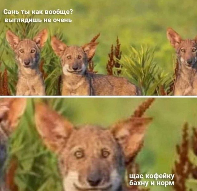 ������ ���� �� ����