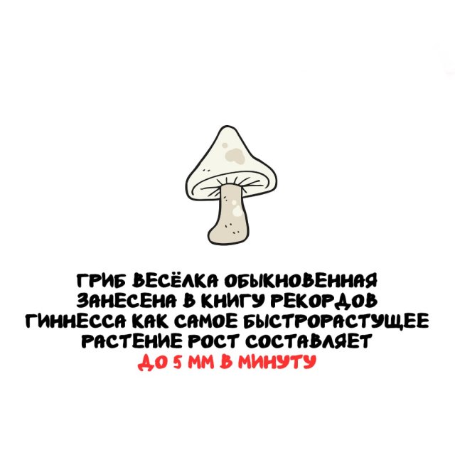 �����, ������� ������ �� ����� ������