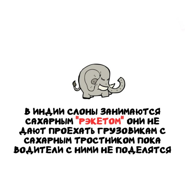 �����, ������� ������ �� ����� ������