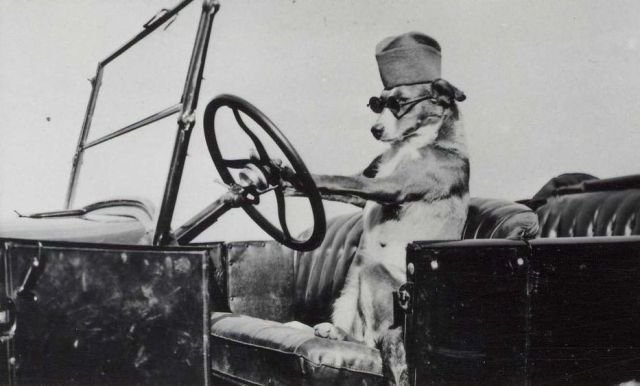 ���������� ��������