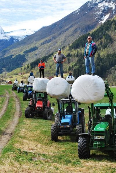 ���������� ��������