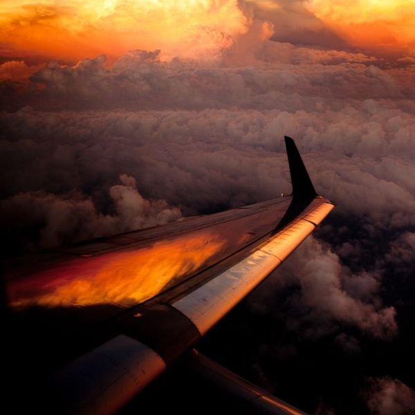 ���������� ��������