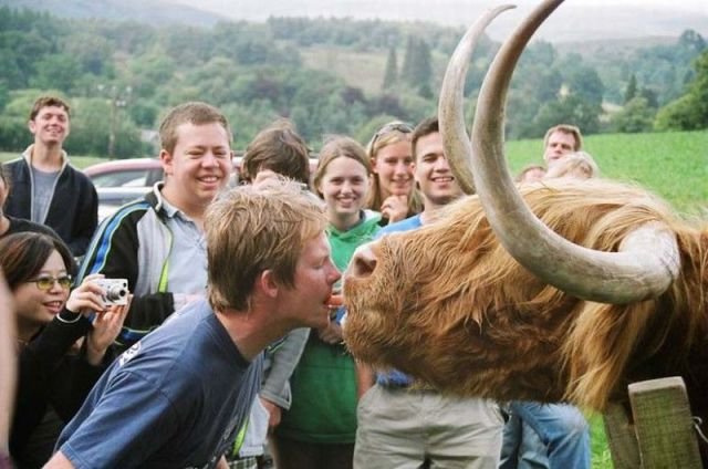 ���������� ��������