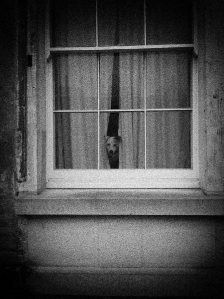 ���������� ��������