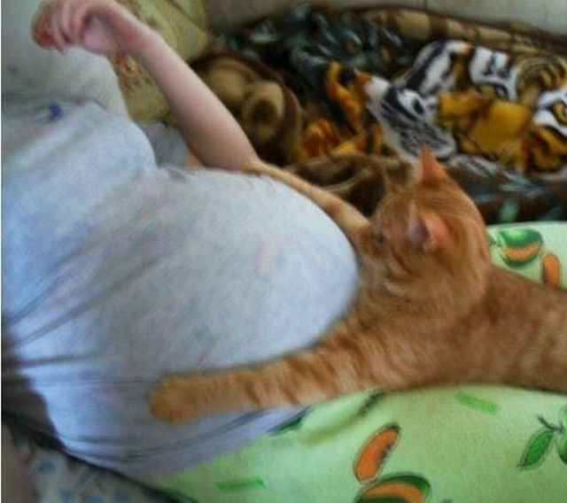 ���������� ��������