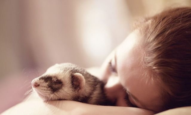 ���������� ��������