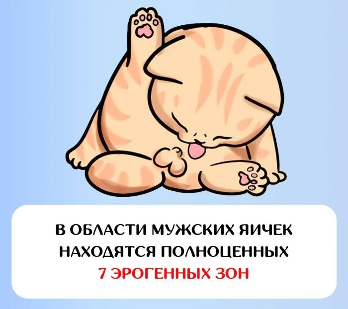 ����� ��� ��������