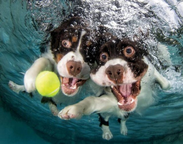 ���������� ��������